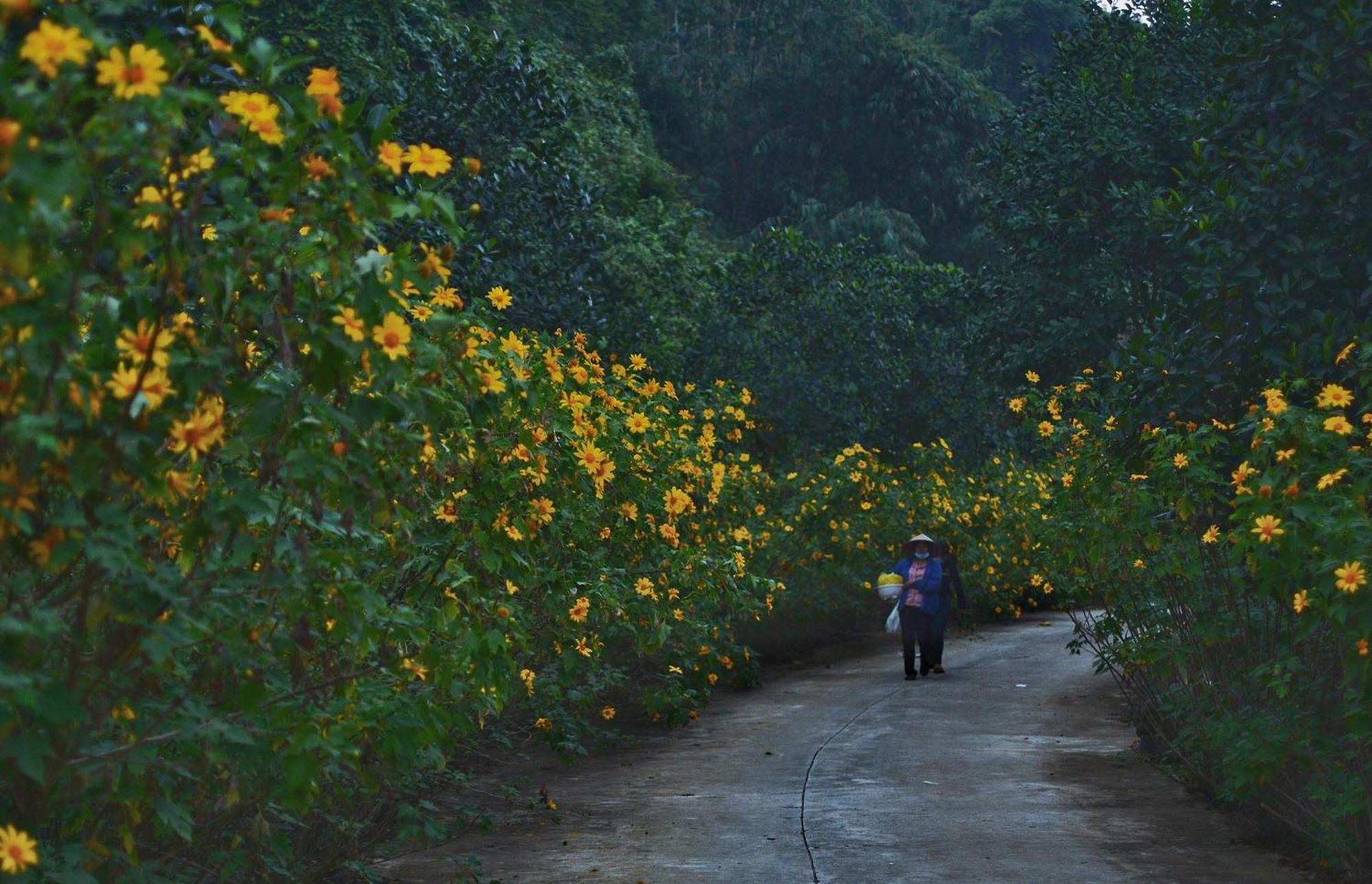 Thung Nham Resort Ninh Binh Exterior photo