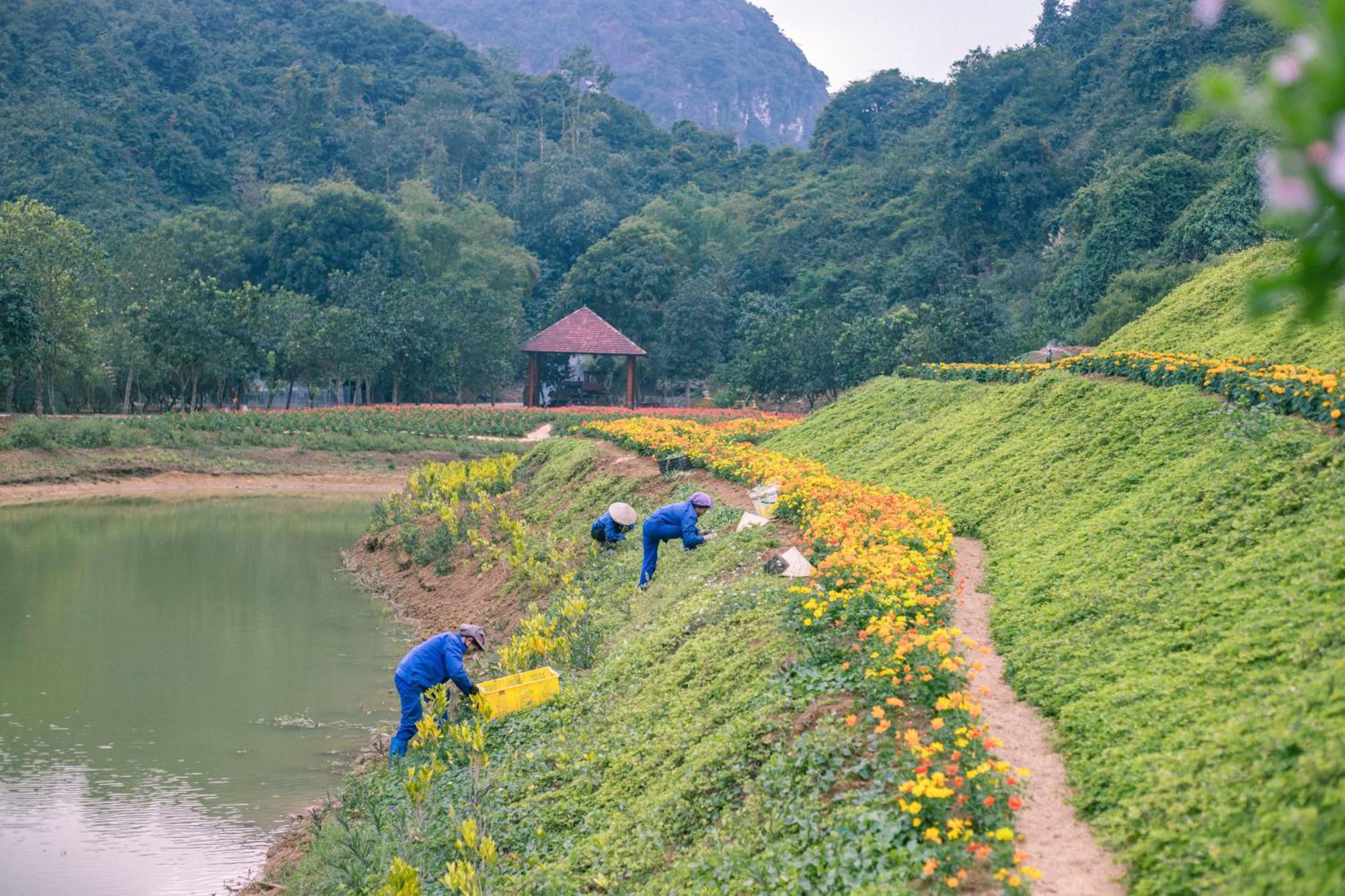 Thung Nham Resort Ninh Binh Exterior photo
